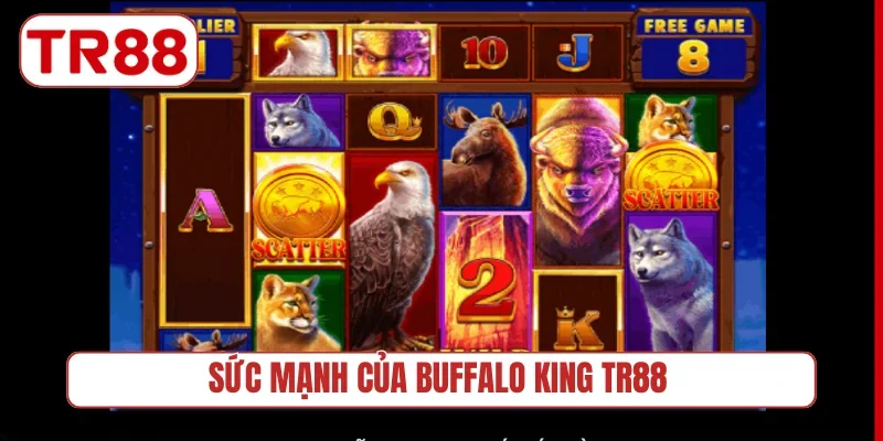 Sức mạnh của Buffalo King TR88